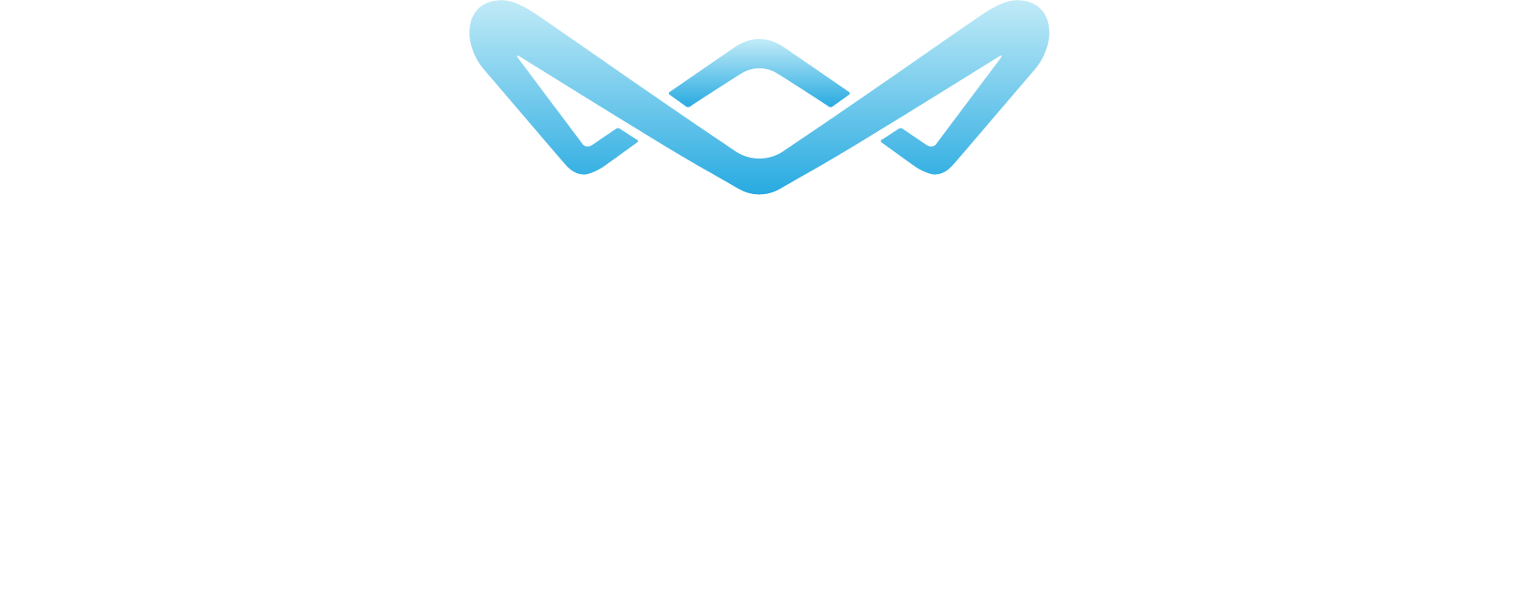 Kingsmark Security Group
